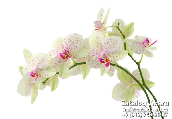 Натяжные потолки с фотопечатью - Белые орхидеи 29